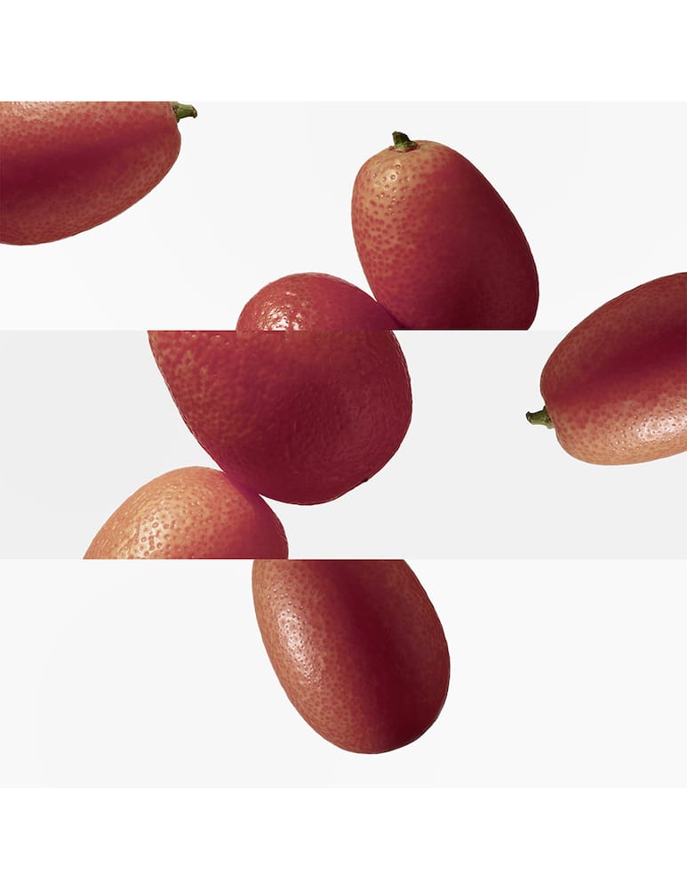 rinascente HERMÈS Le Jardin de Monsieur Li Eau de Toilette 