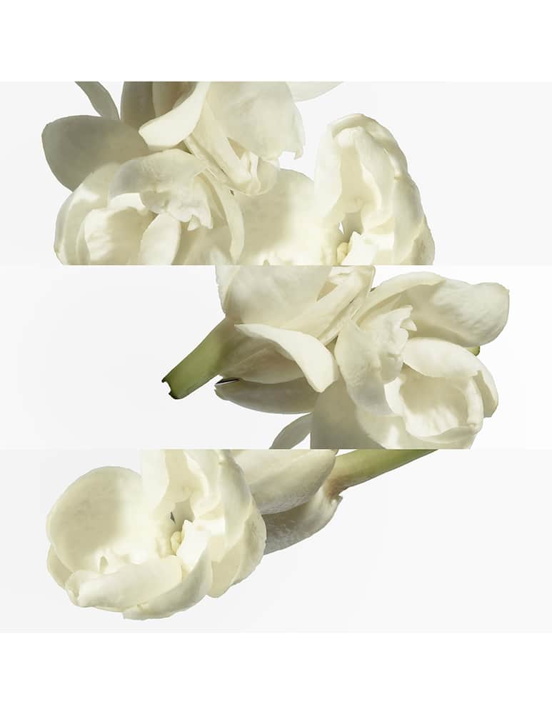 HERMÈS Le Jardin de Monsieur Li Eau de Toilette - immagine 6 HERMÈS Le Jardin de Monsieur Li Eau de Toilette - immagine 6