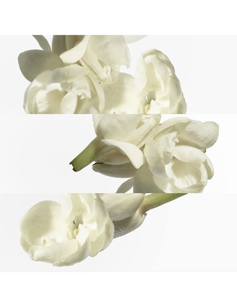 rinascente HERMÈS Le Jardin de Monsieur Li Eau de Toilette 