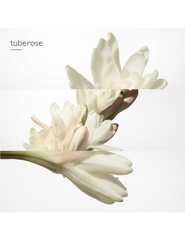 rinascente HERMÈS Twilly d'Hermès Eau de Parfum 