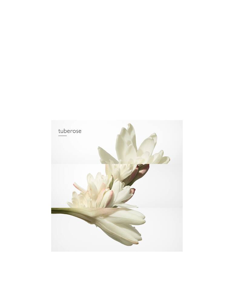 rinascente HERMÈS Twilly d'Hermès Eau de Parfum 