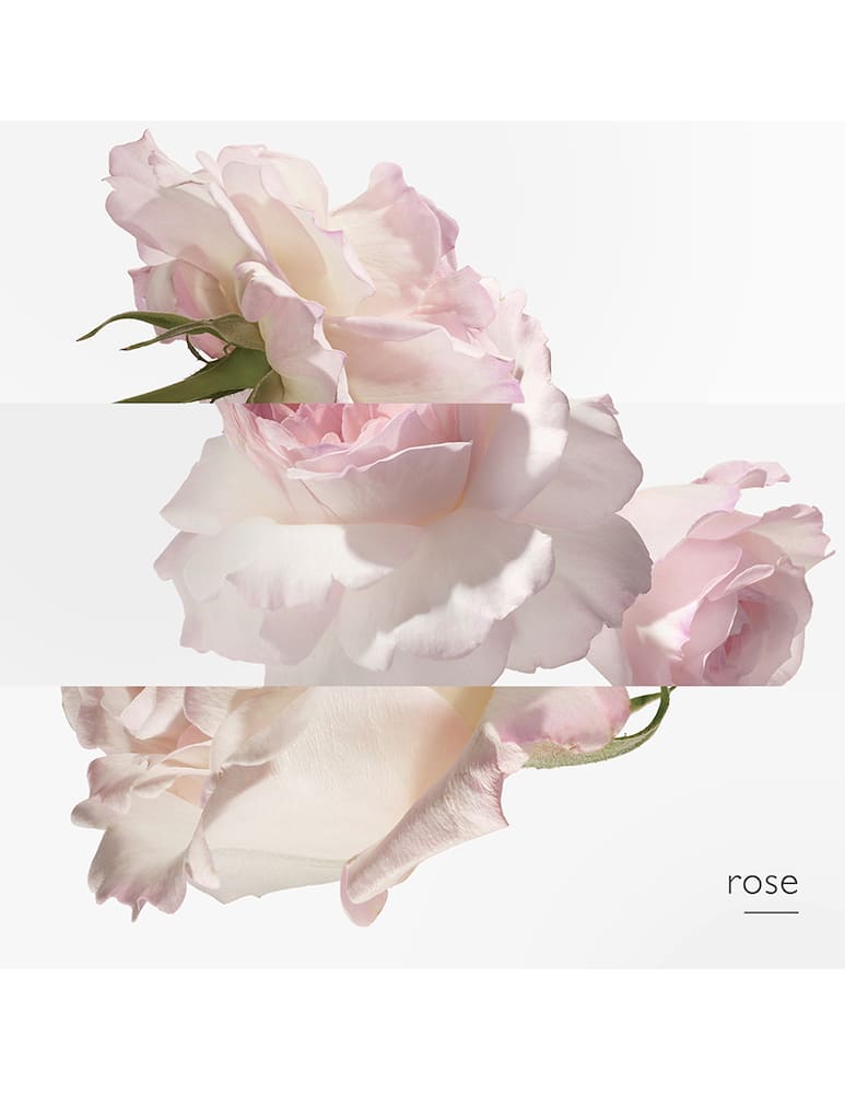 rinascente HERMÈS Twilly d'Hermès Eau Poivrée Eau de Parfum 