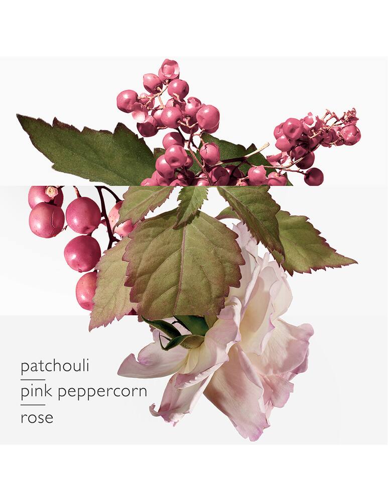 rinascente HERMÈS Twilly d'Hermès Eau Poivrée Eau de Parfum 