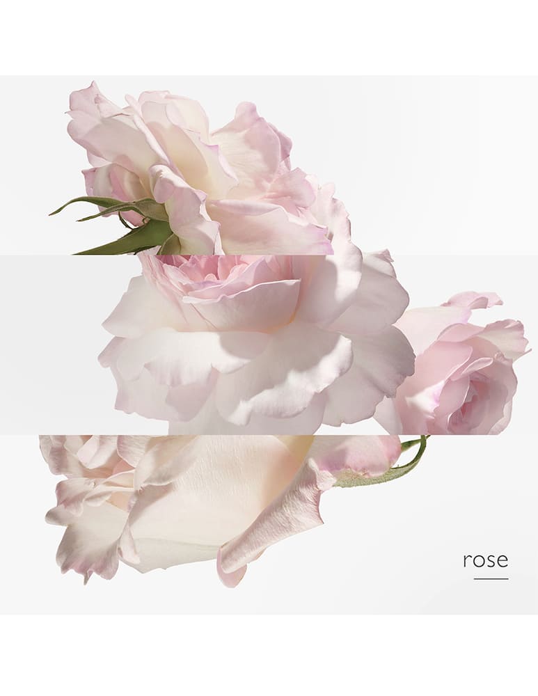 rinascente HERMÈS Twilly d'Hermès Eau Poivrée Eau de Parfum 