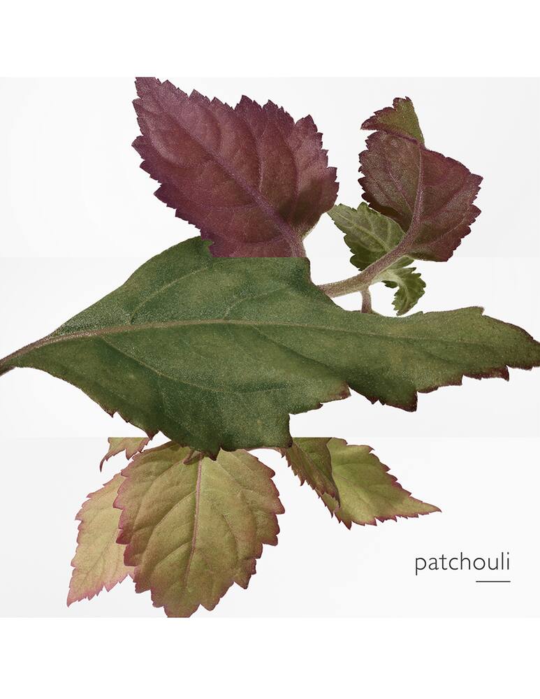 rinascente HERMÈS Twilly d'Hermès Eau Poivrée Eau de Parfum 