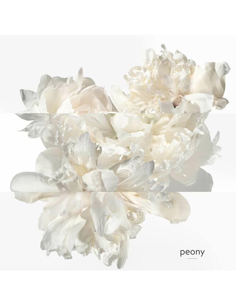 rinascente HERMÈS Twilly Eau Ginger Eau de Parfum 