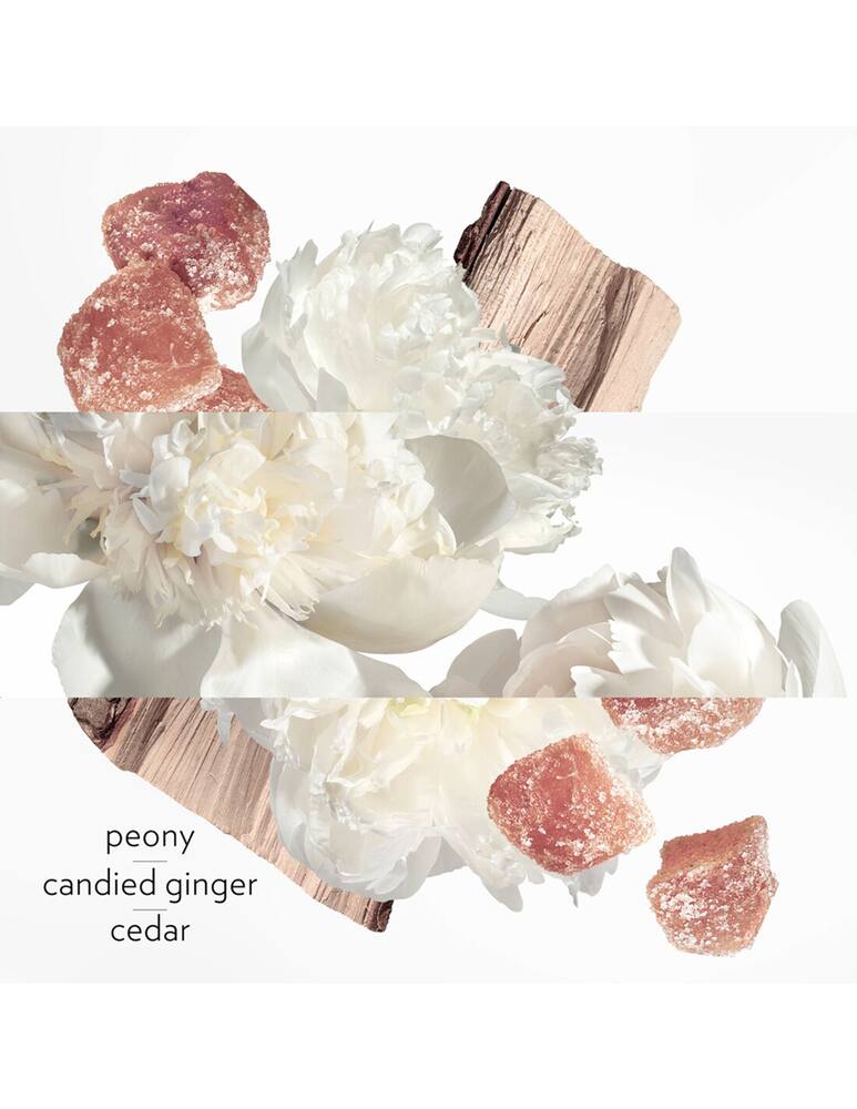 rinascente HERMÈS Twilly Eau Ginger Eau de Parfum 