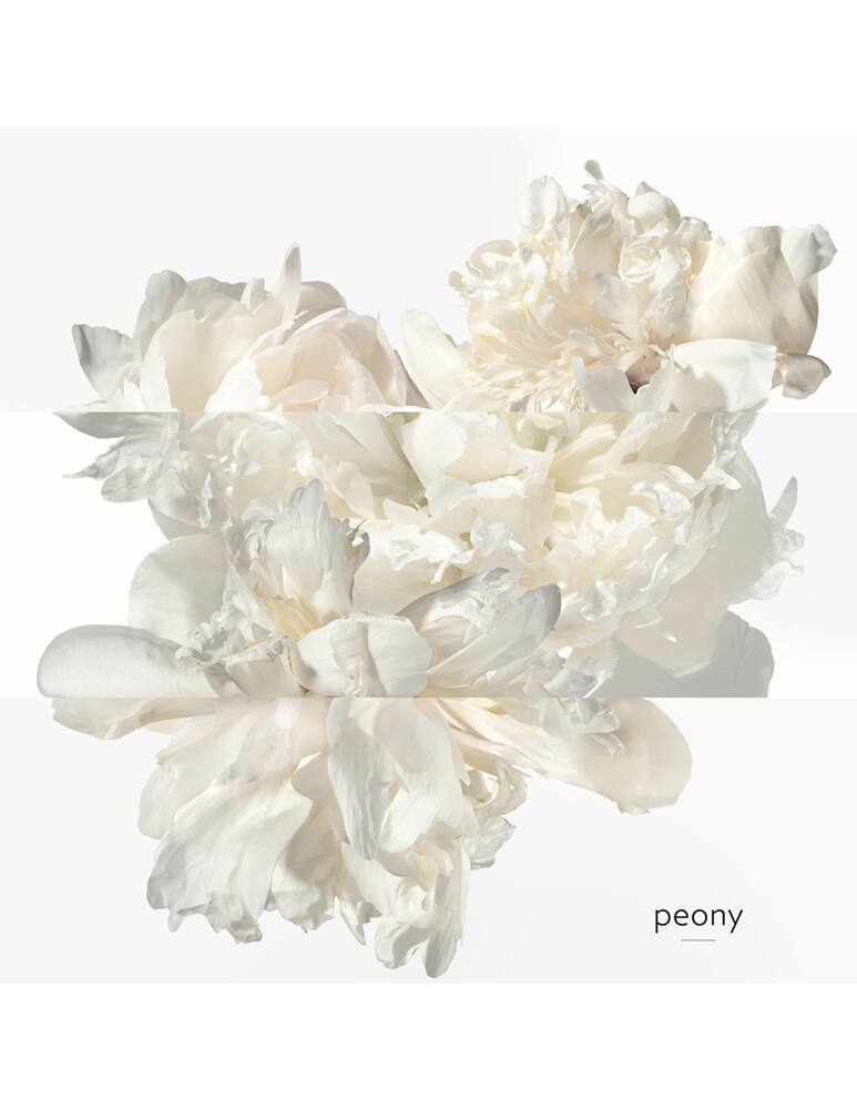 rinascente HERMÈS Twilly Eau Ginger Eau de Parfum 