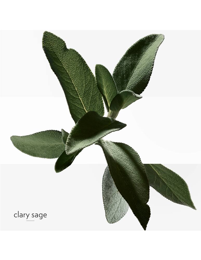 rinascente HERMÈS H24 Eau de toilette 