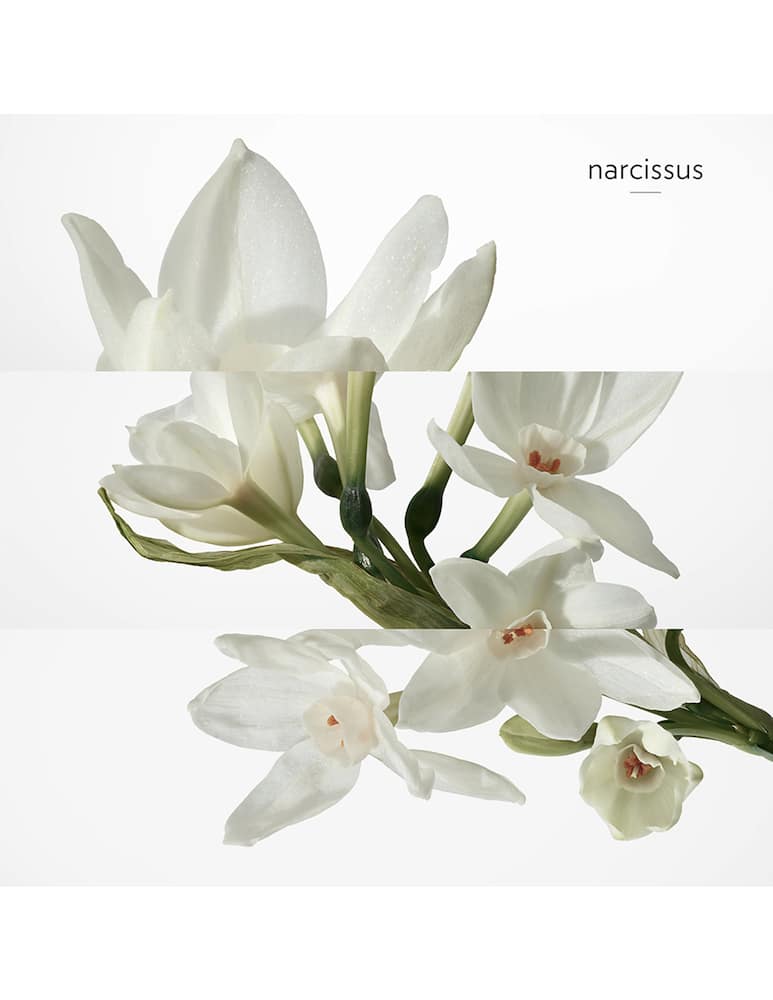 rinascente HERMÈS H24 Eau de toilette ricarica