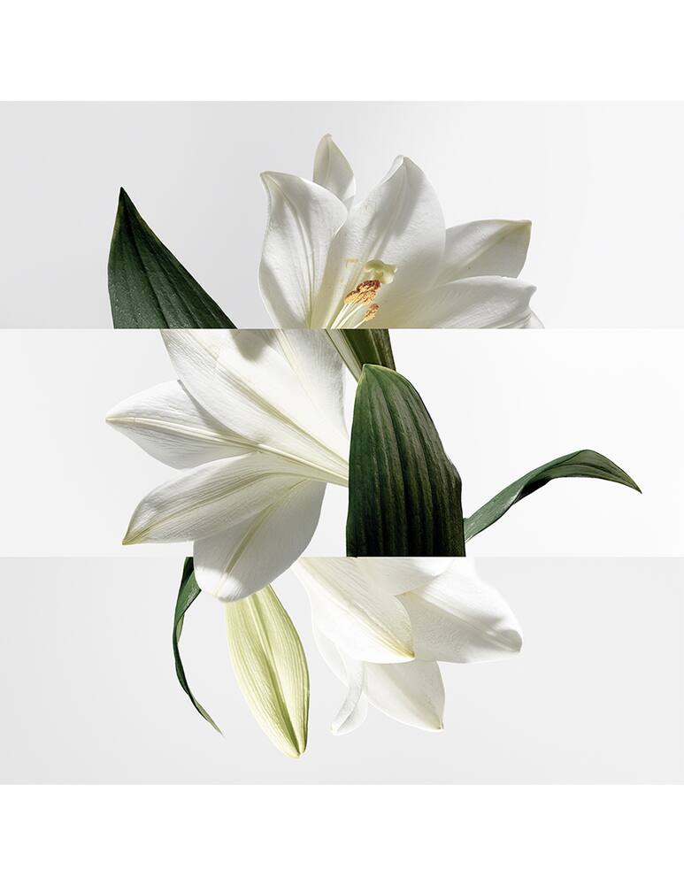 rinascente HERMÈS Un Jardin sur la Lagune Eau de Toilette 