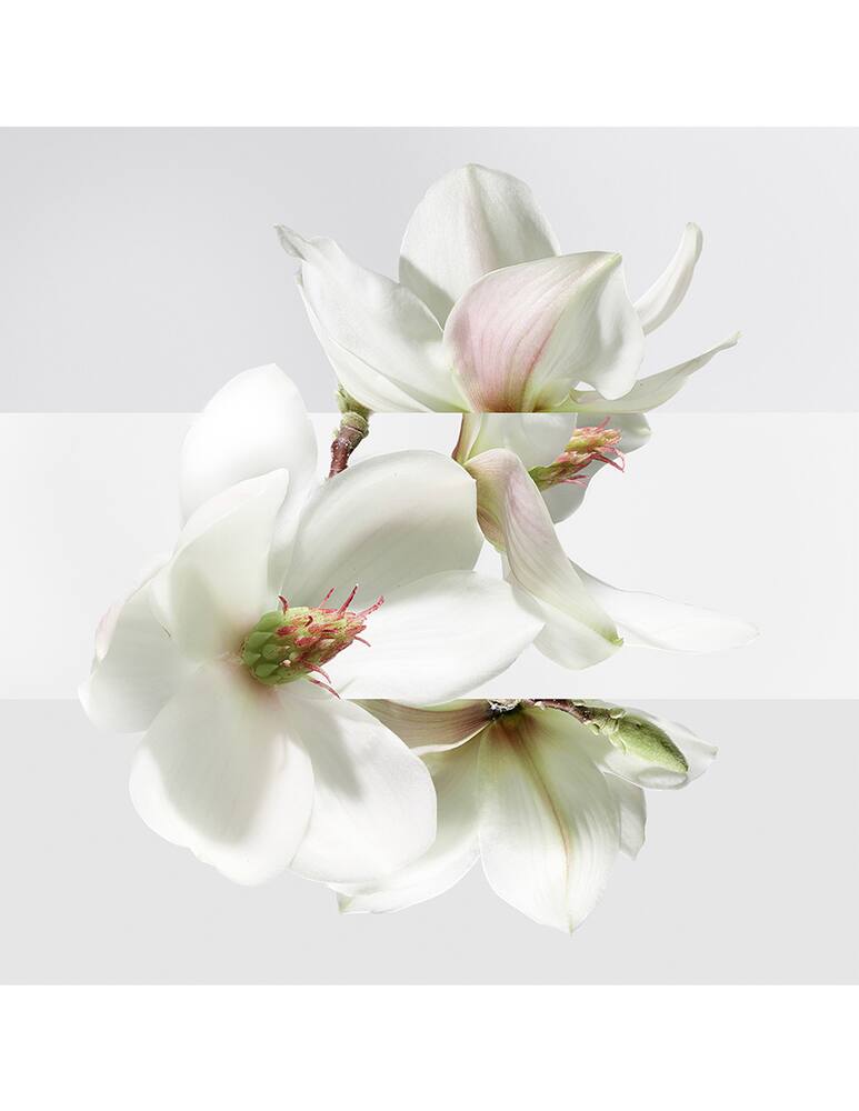 rinascente HERMÈS Un Jardin sur la Lagune Eau de Toilette 