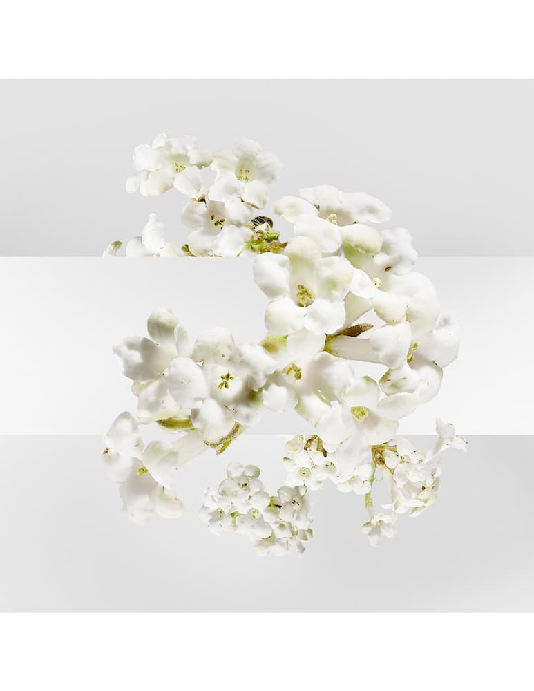 rinascente HERMÈS Un Jardin sur la Lagune Eau de Toilette 