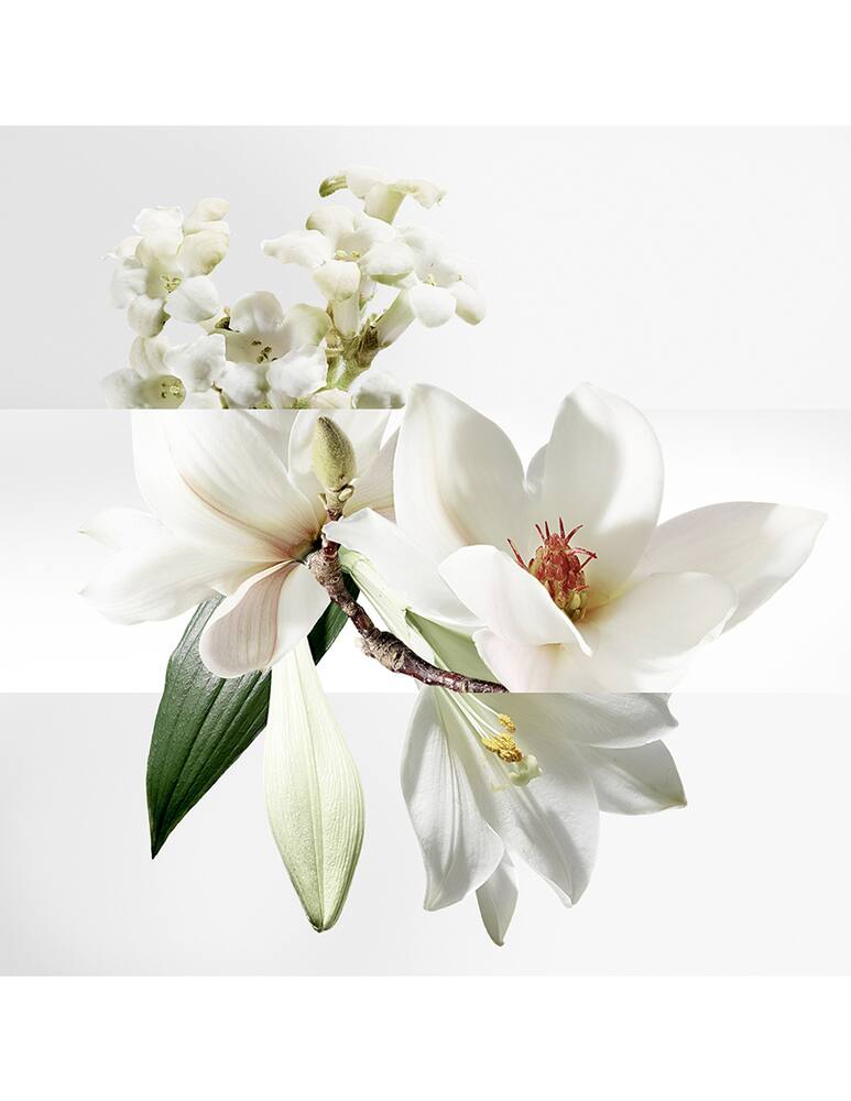 rinascente HERMÈS Un Jardin sur la Lagune Eau de Toilette 