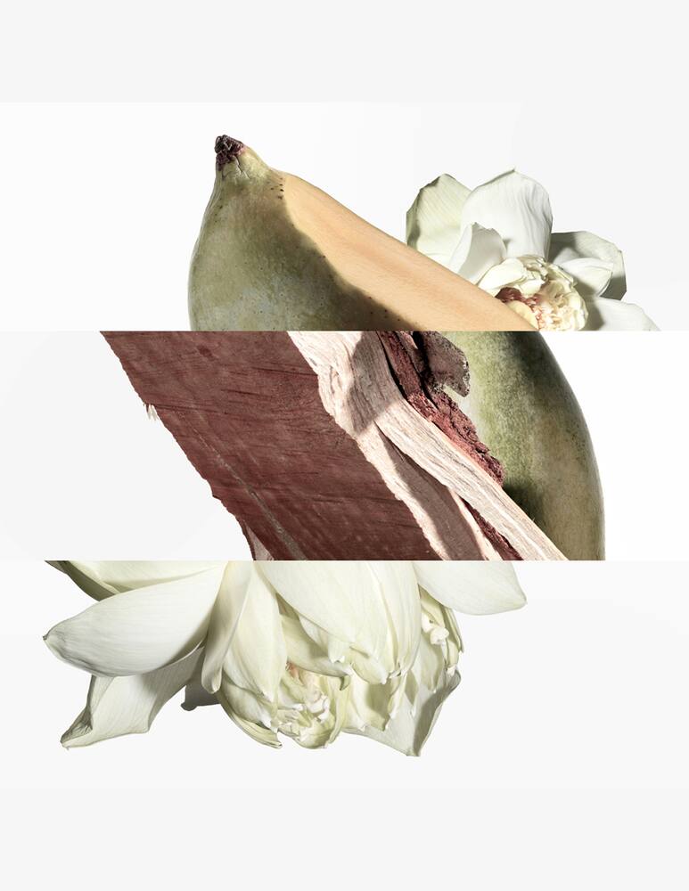 rinascente HERMÈS Un Jardin sur le Nil Eau de Toilette 