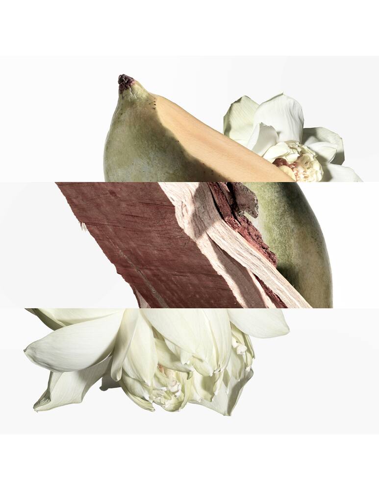 rinascente HERMÈS Un Jardin sur le Nil Eau de Toilette 