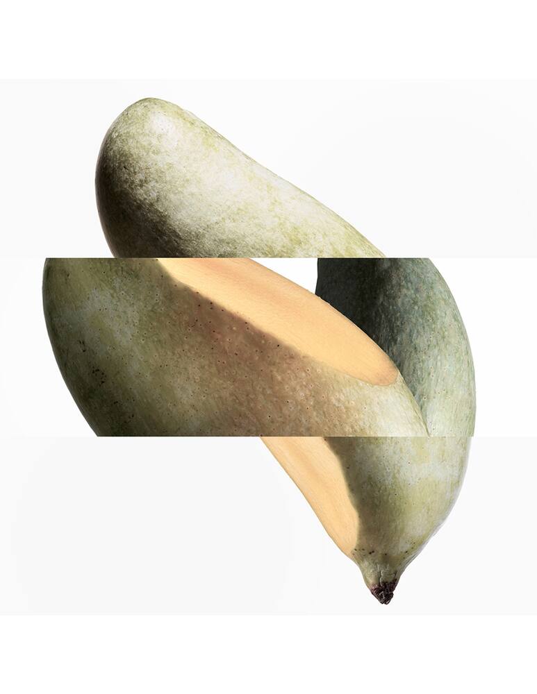 rinascente HERMÈS Un Jardin sur le Nil Eau de Toilette 