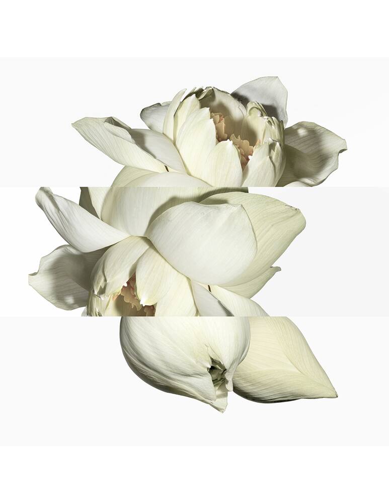 rinascente HERMÈS Un Jardin sur le Nil Eau de Toilette 