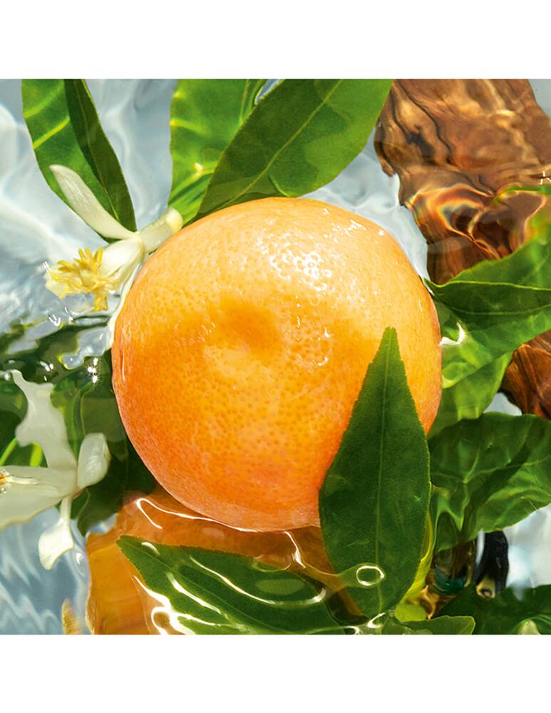 rinascente Guerlain Aqua Allegoria Pamplelune Eau de Toilette