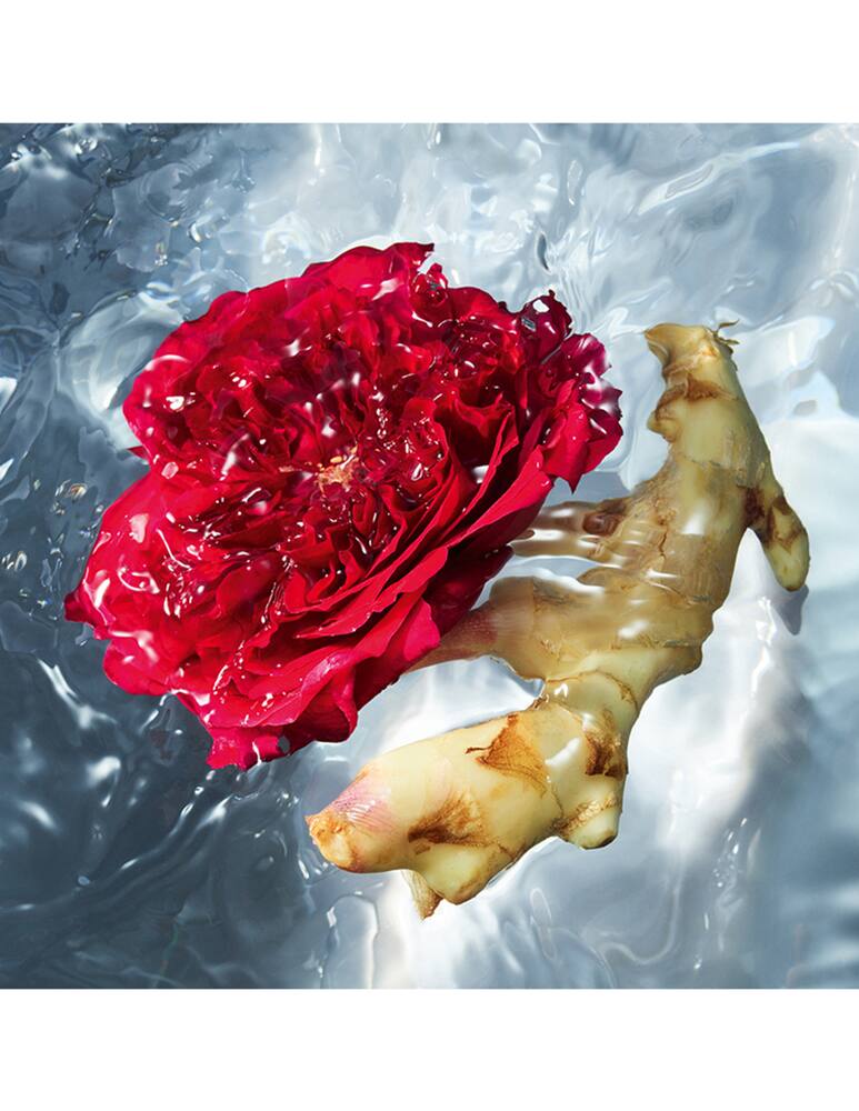 rinascente Guerlain Aqua Allegoria Ginger Piccante Eau de Toilette 