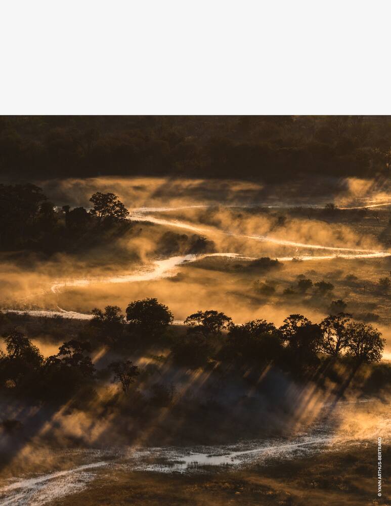 rinascente Guerlain Aqua Allegoria Bosca Vanilla Forte Eau de Parfum Ricarica