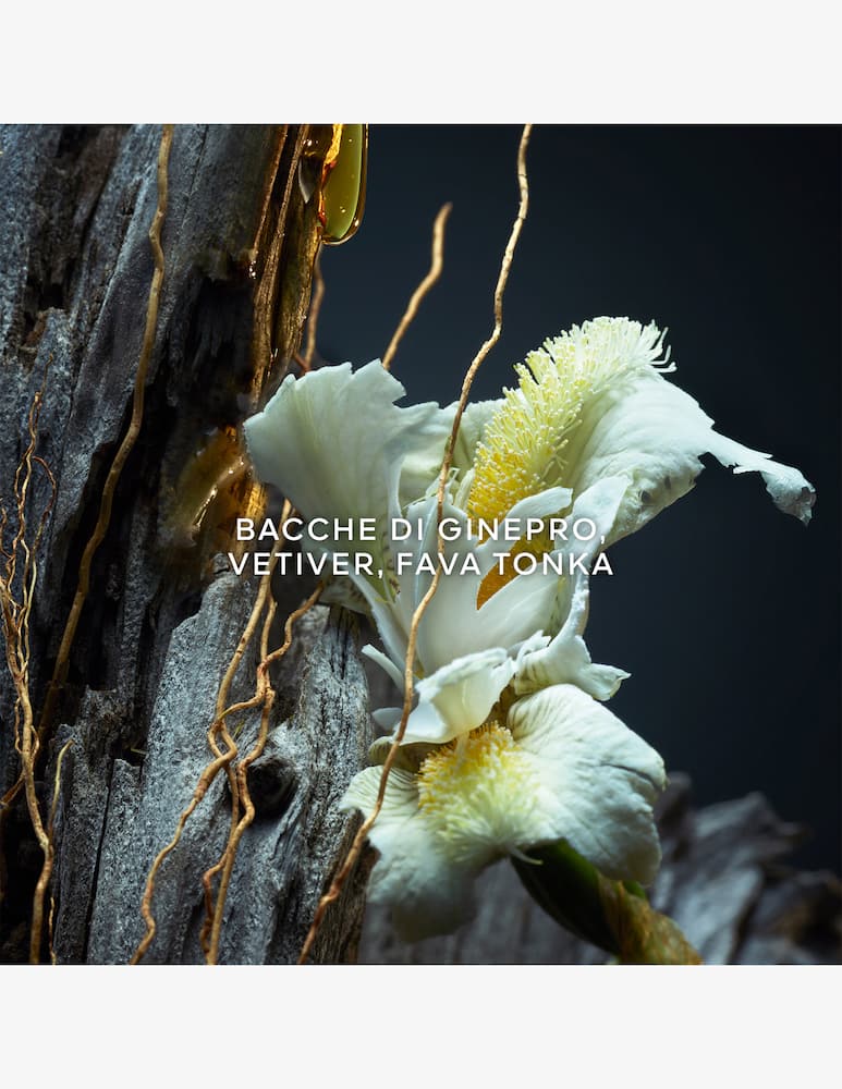 rinascente Guerlain Vetiver Parfum