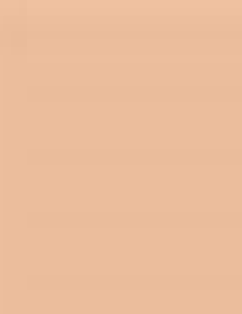 Guerlain Terracotta Le Teint Fondotinta - immagine 5 Guerlain Terracotta Le Teint Fondotinta - immagine 5