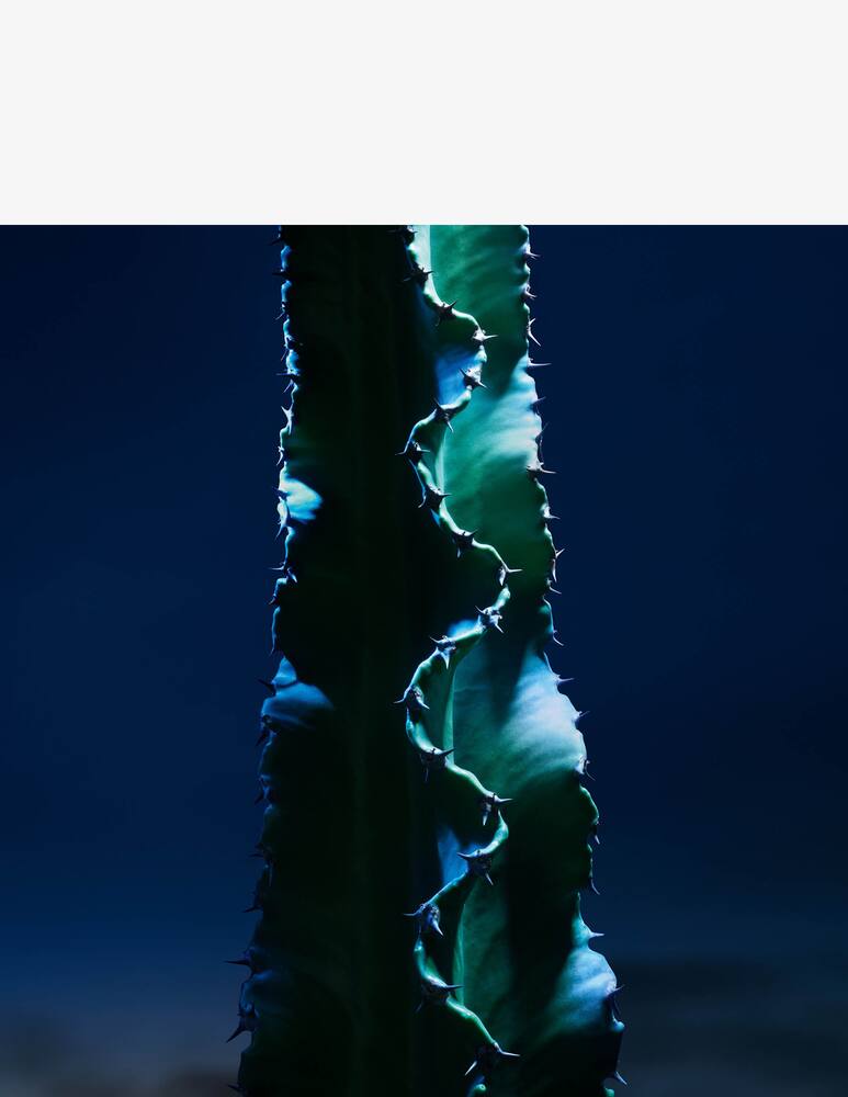 rinascente DIOR Sauvage Il Detergente