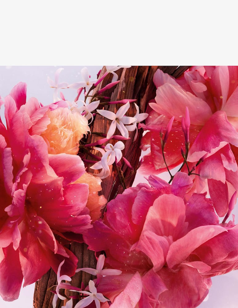 rinascente DIOR Miss Dior Parfum Mini Miss