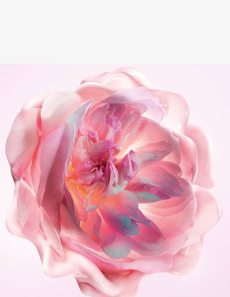 DIOR Miss Dior Crema Mani Fondente - immagine 3 DIOR Miss Dior Crema Mani Fondente - immagine 3