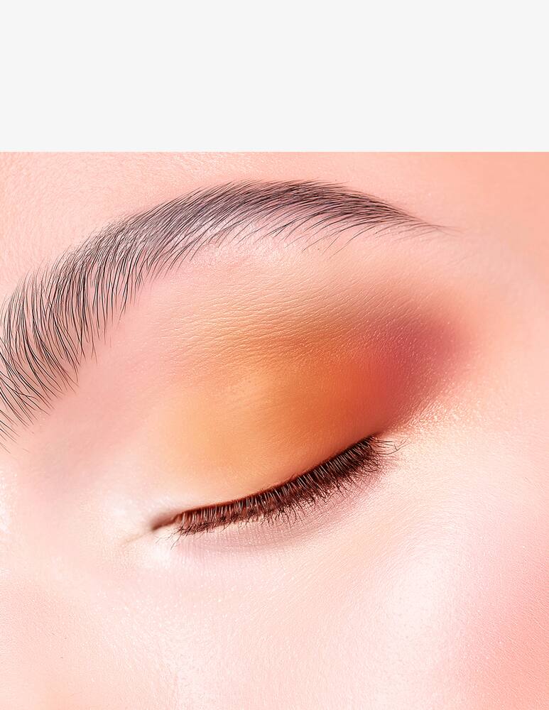 rinascente DIOR Diorshow 5 Couleurs Edizione Limitata