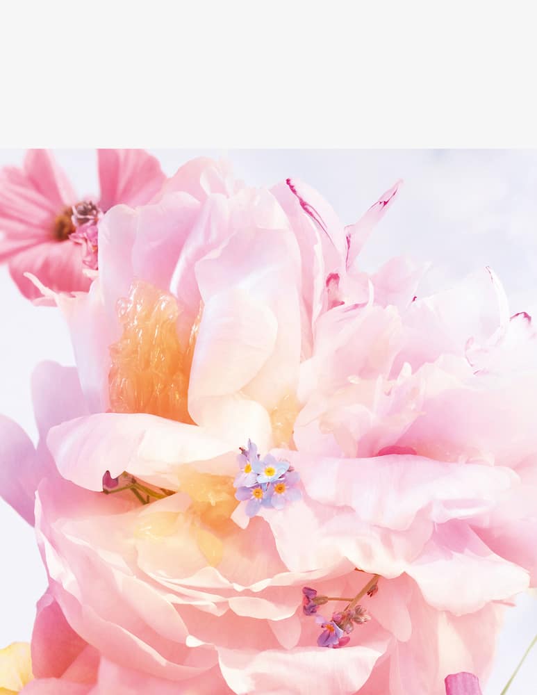 DIOR Miss Dior Blooming Bouquet Roller-Pearl - picture 2 DIOR Miss Dior Blooming Bouquet Roller-Pearl - picture 2