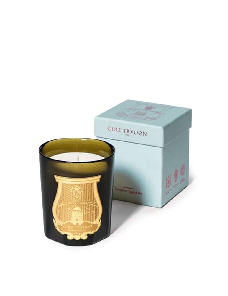 TRUDON Candela Ernesto - immagine 1 TRUDON Candela Ernesto - immagine 1