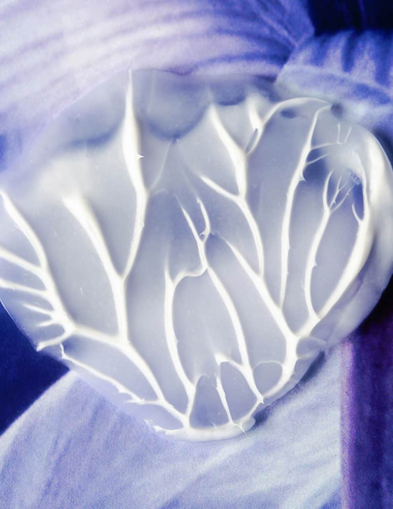 Sisley Soin Velours aux Fleurs de Safran Night Cream - picture 6 Sisley Soin Velours aux Fleurs de Safran Night Cream - picture 6