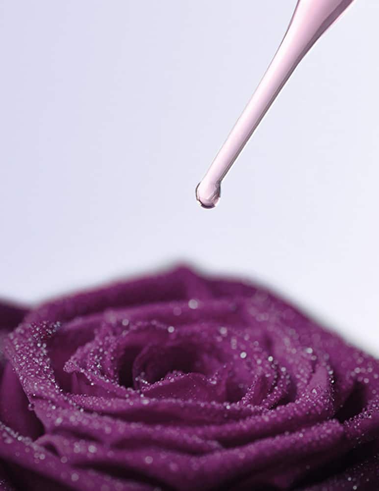 Sisley Fluide Contour des Yeux à la Rose Noire - immagine 5 Sisley Fluide Contour des Yeux à la Rose Noire - immagine 5