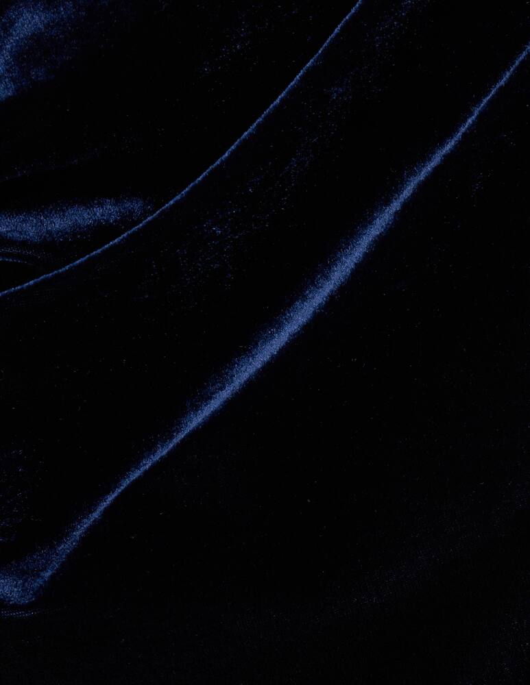 Sandro Ferrone Velvet blouse - picture 3 Sandro Ferrone Velvet blouse - picture 3