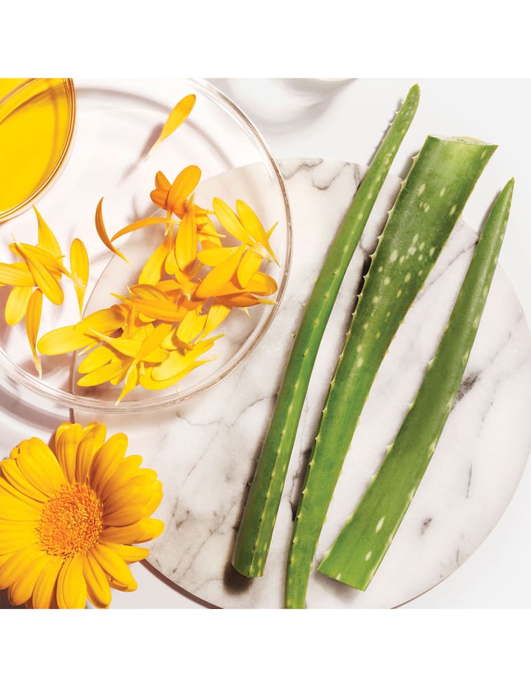 Kiehl's Calendula Aloe Soothing Hydration Masque maschera viso - immagine 4 Kiehl's Calendula Aloe Soothing Hydration Masque maschera viso - immagine 4