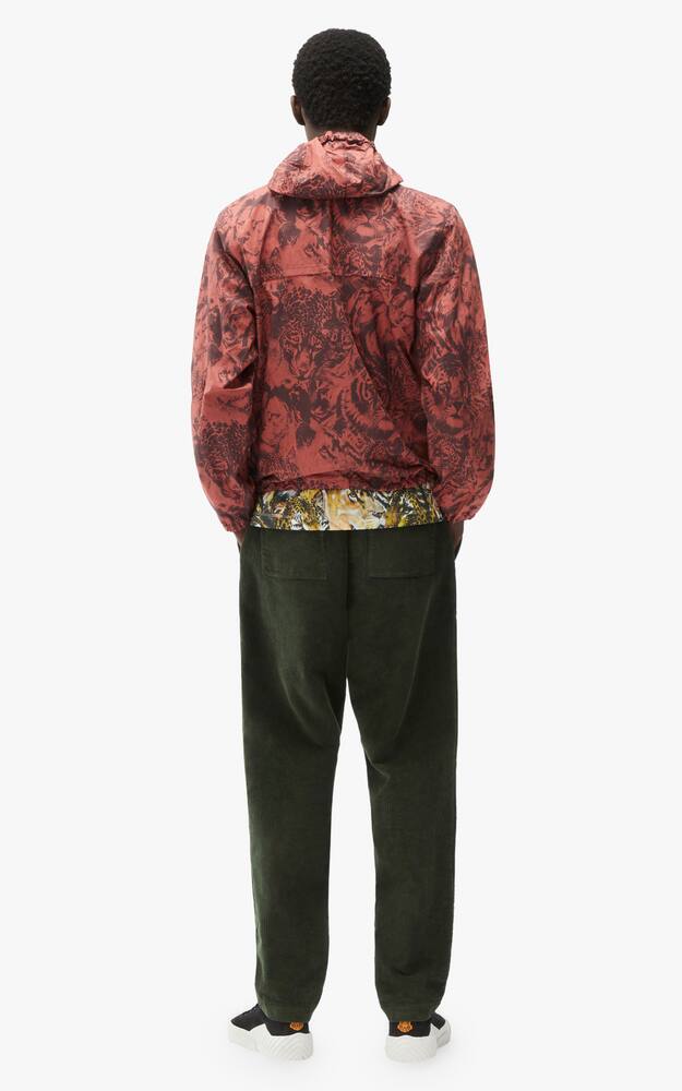 rinascente Kenzo Felpa con cappuccio wwf  