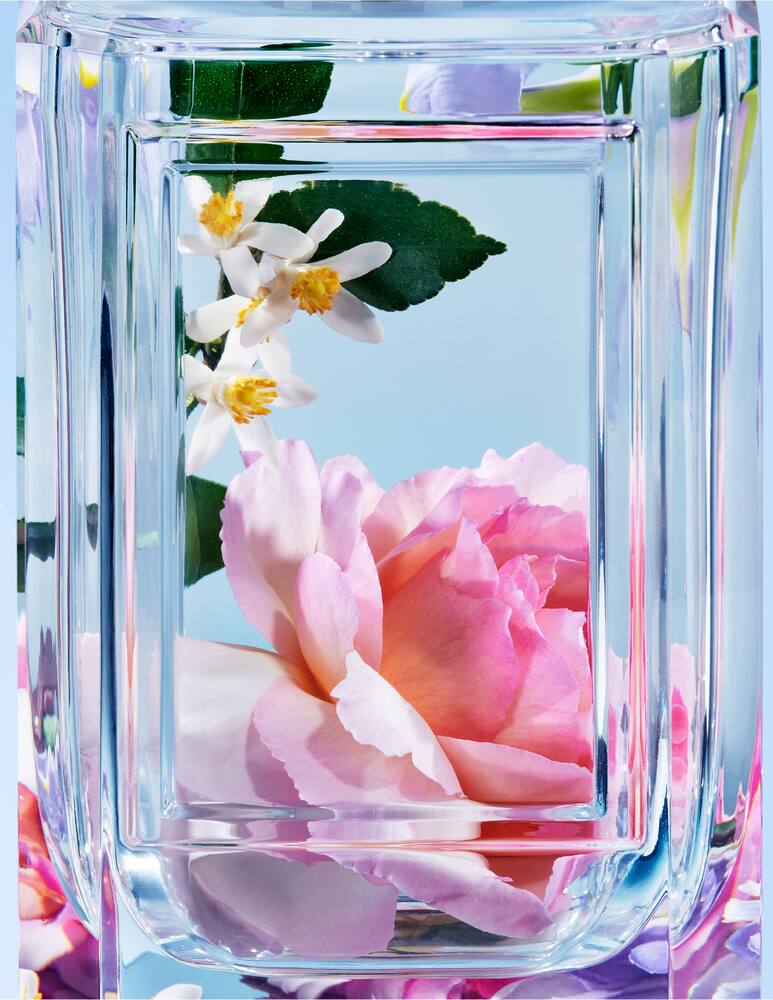 rinascente Prada Pink Flamingos Eau de Parfum