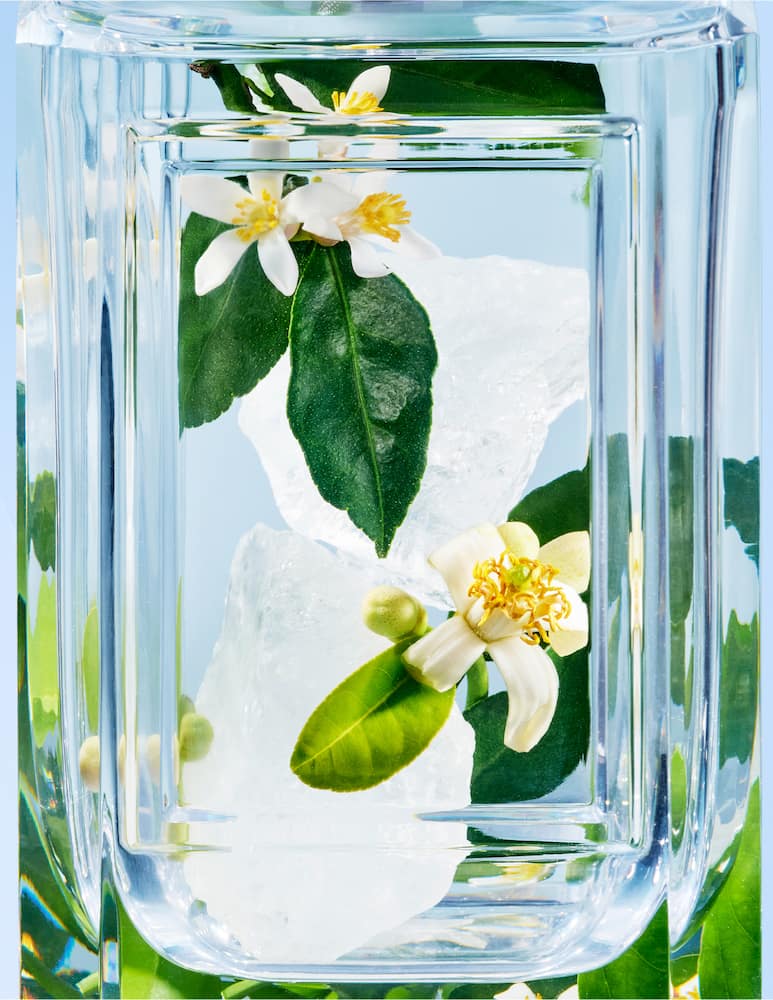 Prada Un Chant d'Amour Eau de Parfum - immagine 4 Prada Un Chant d'Amour Eau de Parfum - immagine 4