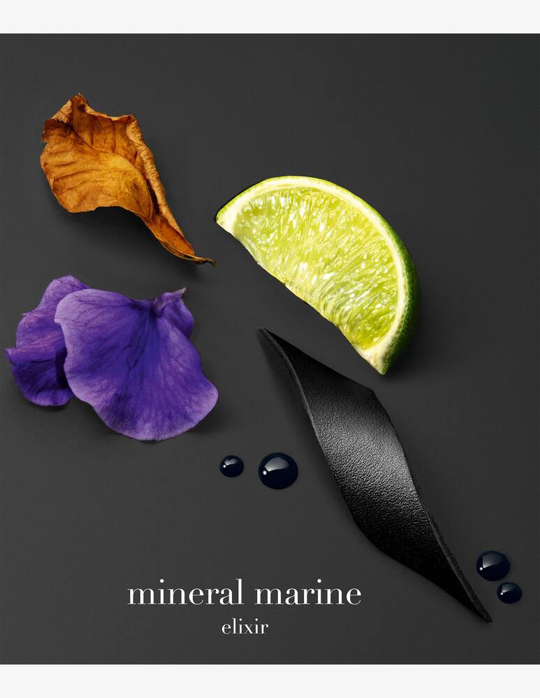 rinascente Giorgio Armani Acqua Di Giò Elixir