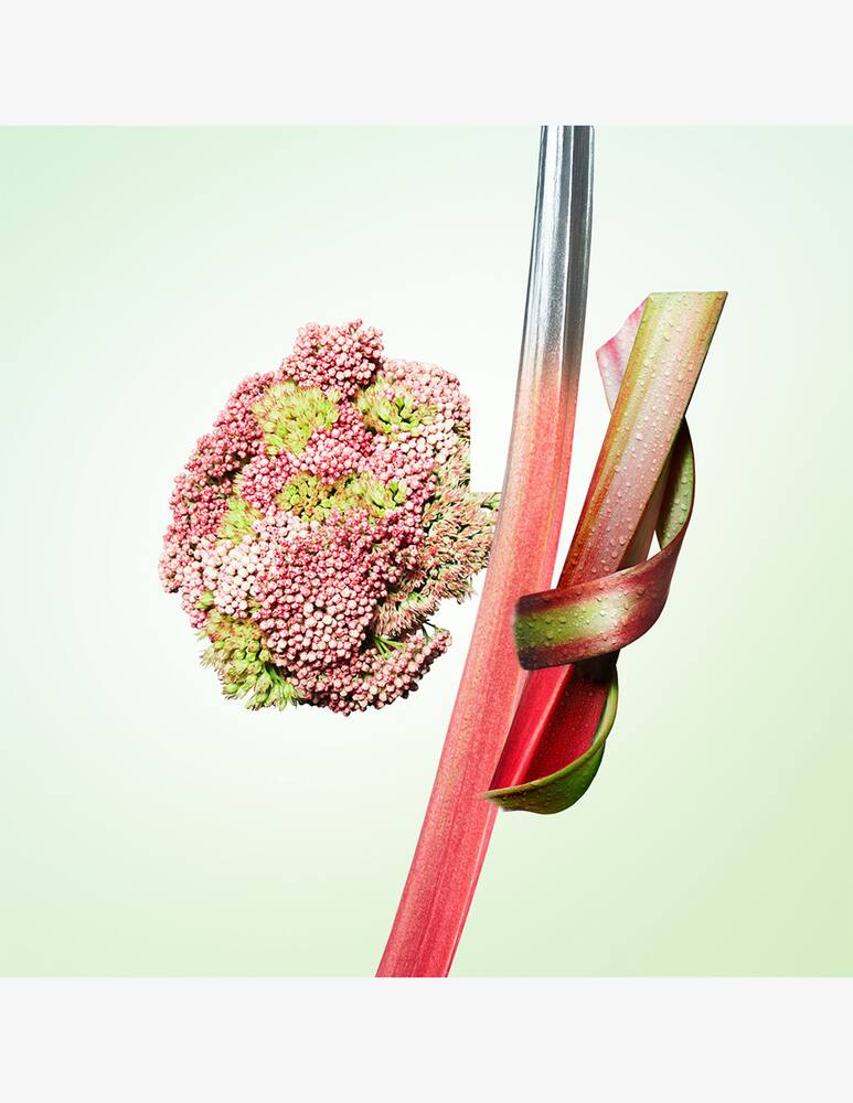 rinascente Prada Les Infusions Rhubarbe Eau de Parfum