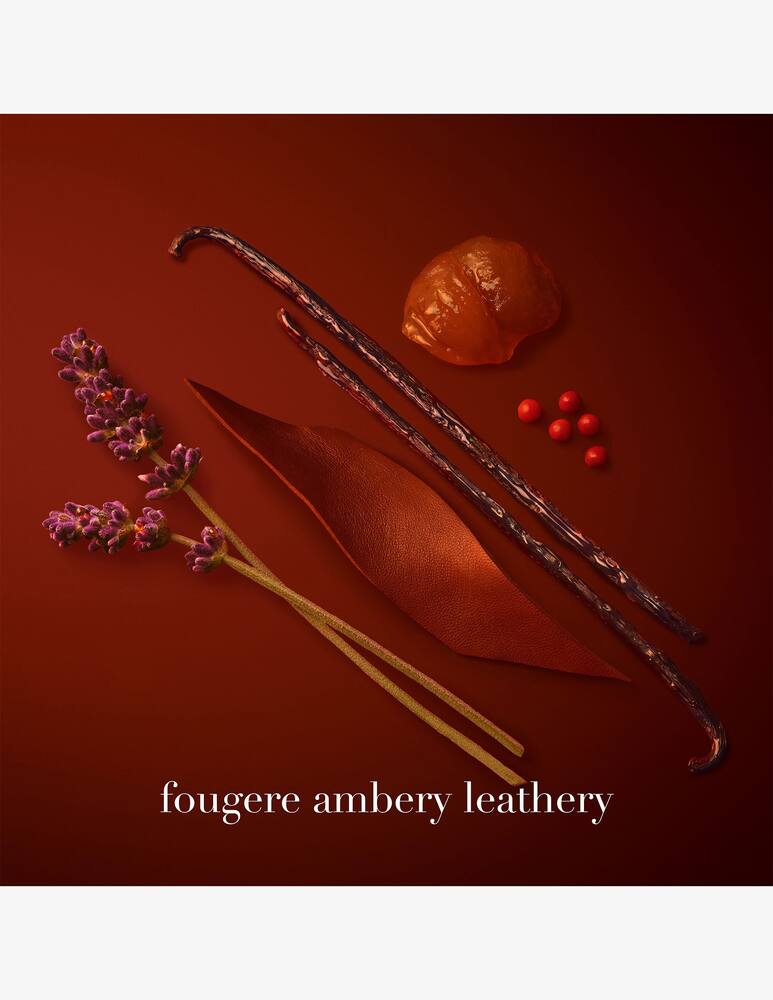 rinascente Giorgio Armani Stronger With You Parfum