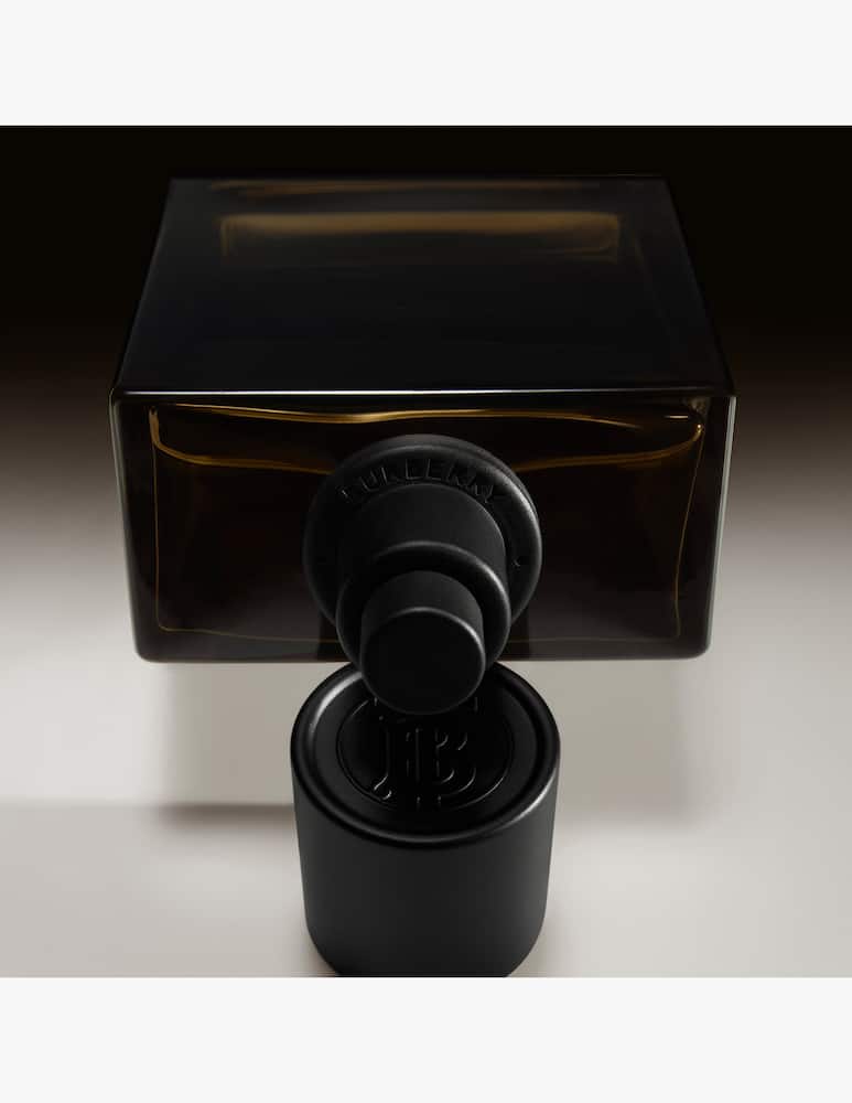 Burberry Burberry Hero Parfum Intense Refill - immagine 5 Burberry Burberry Hero Parfum Intense Refill - immagine 5