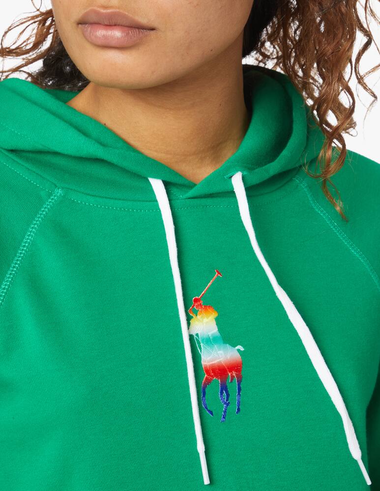 rinascente Polo Ralph Lauren Cotton blend long sleeves sweatshirt - green