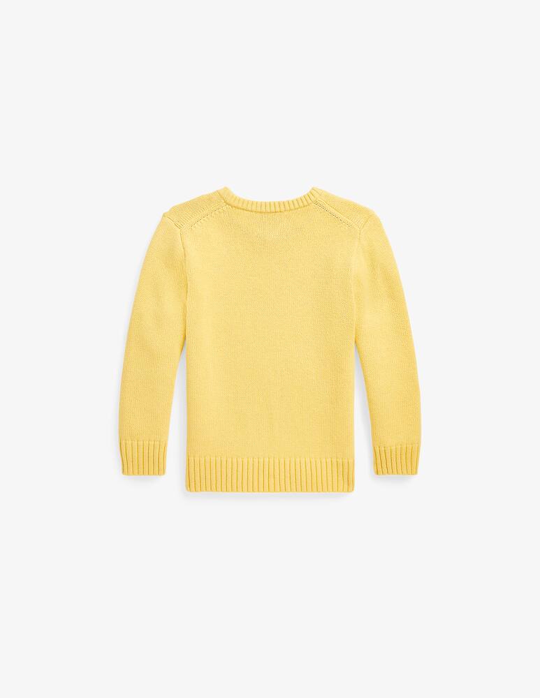 rinascente Polo Ralph Lauren Cotton and cashmere blend sweater - Yellow
