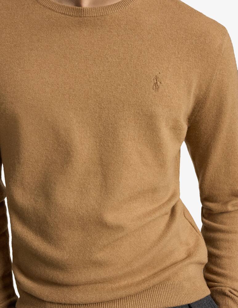 rinascente Polo Ralph Lauren Wool crewneck jumper