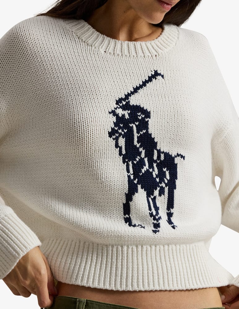 rinascente Polo Ralph Lauren Maglione girocollo in cotone con logo