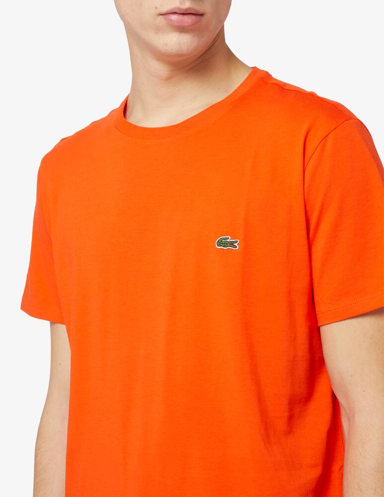 rinascente Lacoste Crewneck basic t-shirt