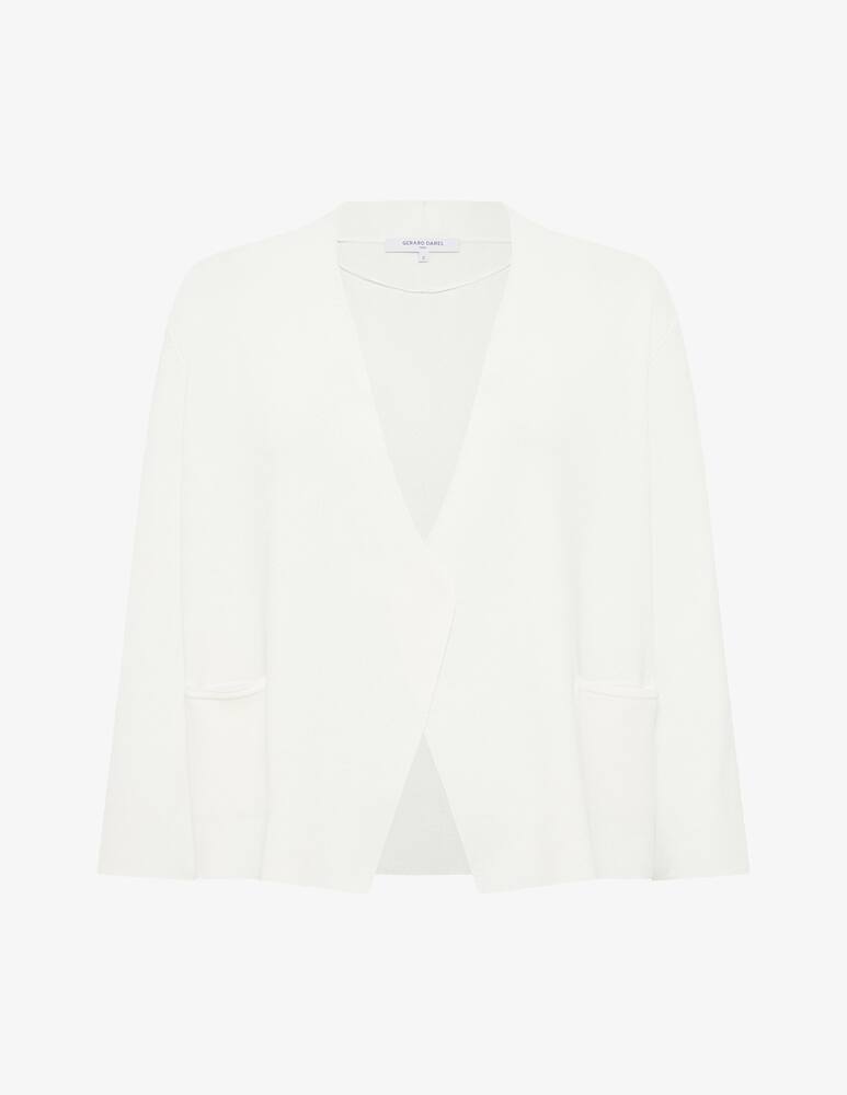 rinascente Gerard Darel Cardigan Janel